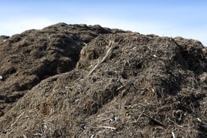 Defra said it will issue guidance on the reporting of organic waste recycling in the summer
